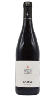 IGP Val de loire Gamay Domaine du Moulin Camus