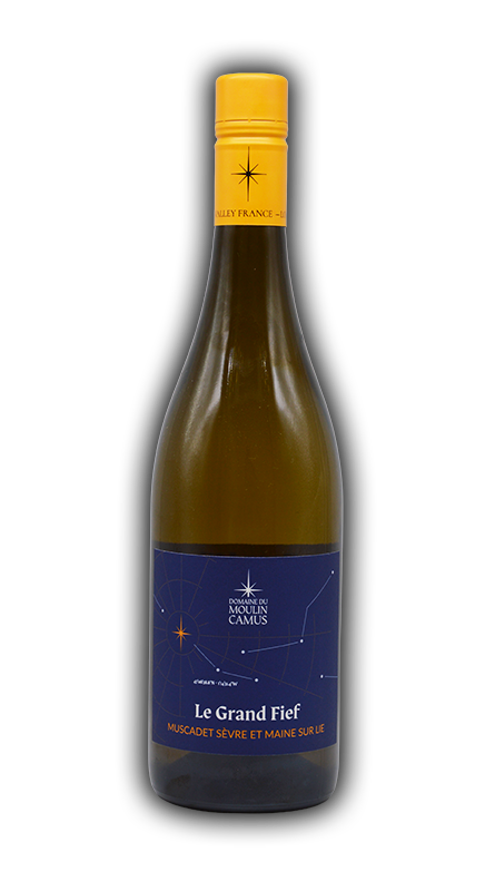 Muscadet Sèvre et Maine sur lie Le Grand Fief