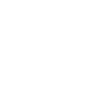 Logo Domaine du Moulin Camus