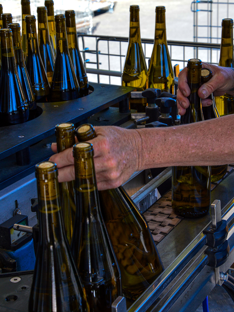 Mise en bouteille Muscadet Domaine du Moulin Camus