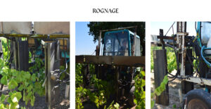 ROGNAGE-DOMAINE-MOULIN-CAMUS