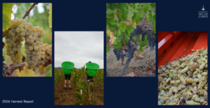 During the Harvest: How the Harvest Unfolded