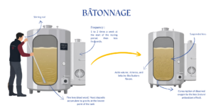 BATONNAGE DOMAINE MOULIN CAMUS