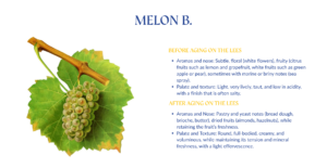 MELON BOURGOGNE DOMAINE MOULIN CAMUS