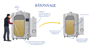 BATONNAGE DOMAINE MOULIN CAMUS